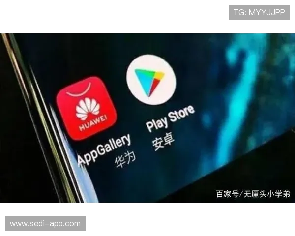 色碟手机官网最新产品发布，带你了解最全的色碟系列信息