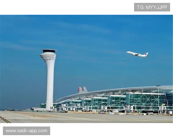 滨海国际机场全面升级提升航班频次与服务质量实现便捷出行